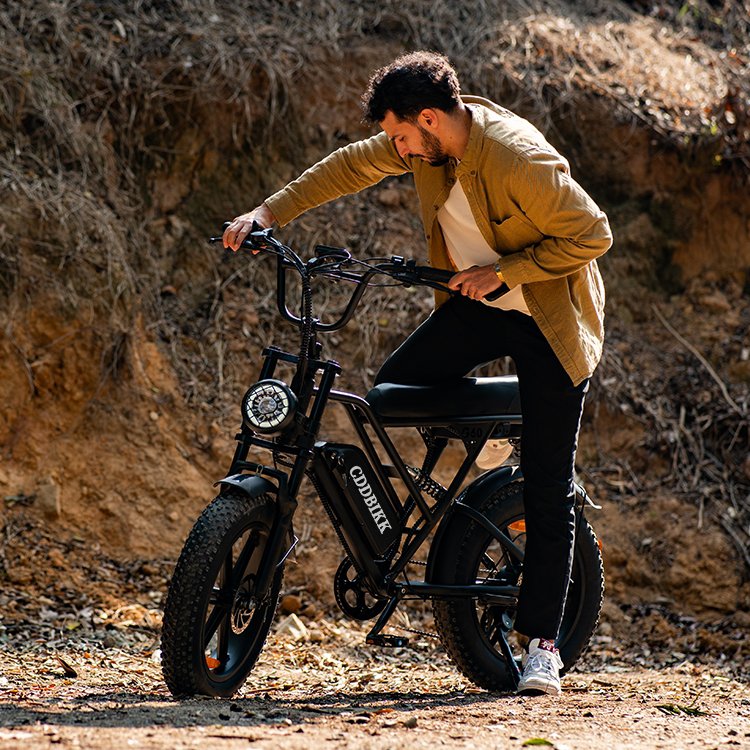 Wholesale Price 20*4" Fat Ebike 48v 15ah 1000w/lithium Battery Hybrid Electric Mountain Bike E Bicycle