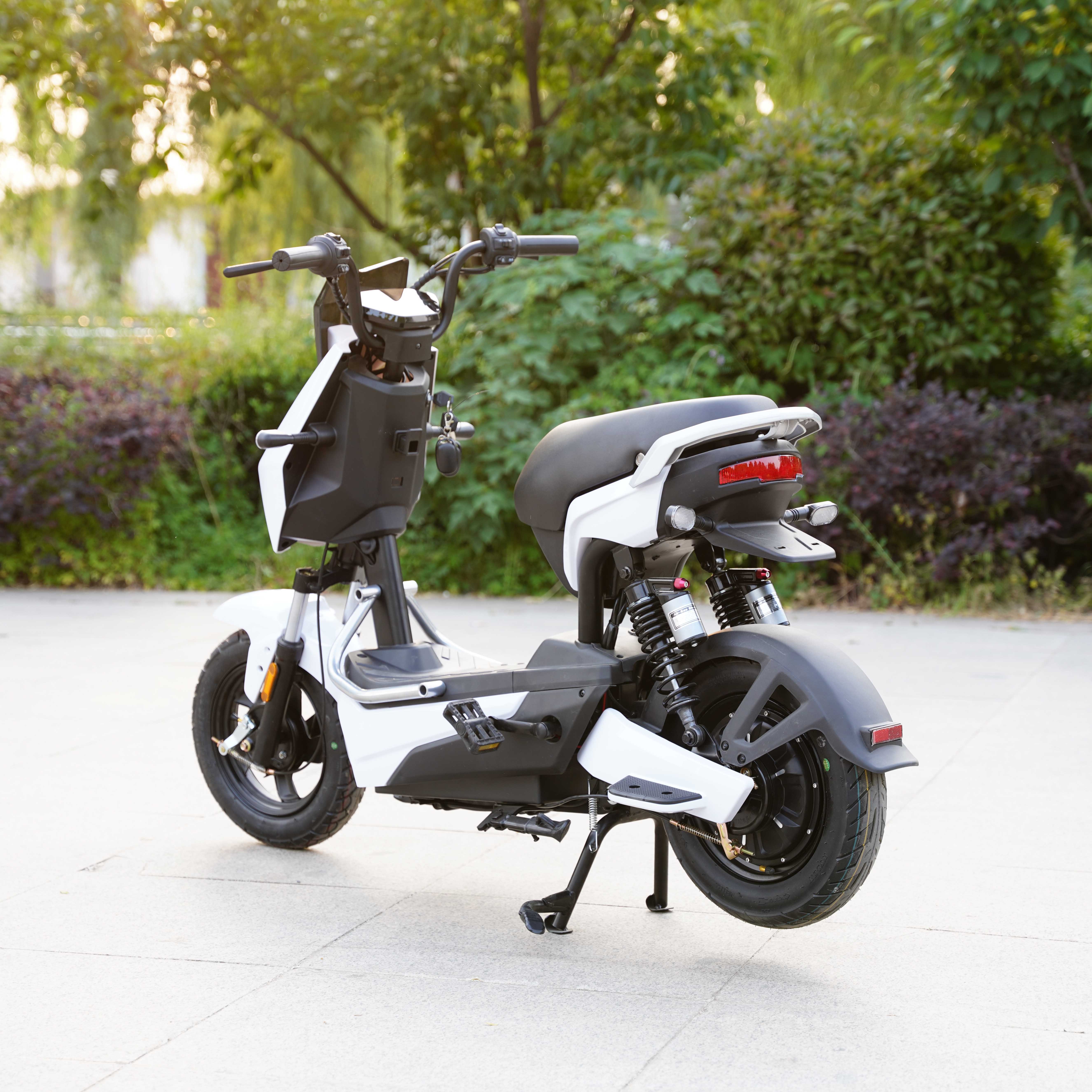500W/600W Electric Bicycle Dual Motor Electric mountain bike 20a Fat Bike 48V Ebike Electric Scooter For Adults