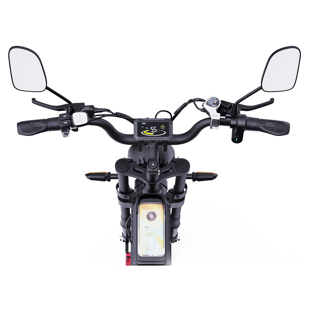 Ridstar Q20 PRO Dirt E Bike 2*1000W Motor Electric Dirt Bike 20 Inch Mountain Bike Off-Road 2000W