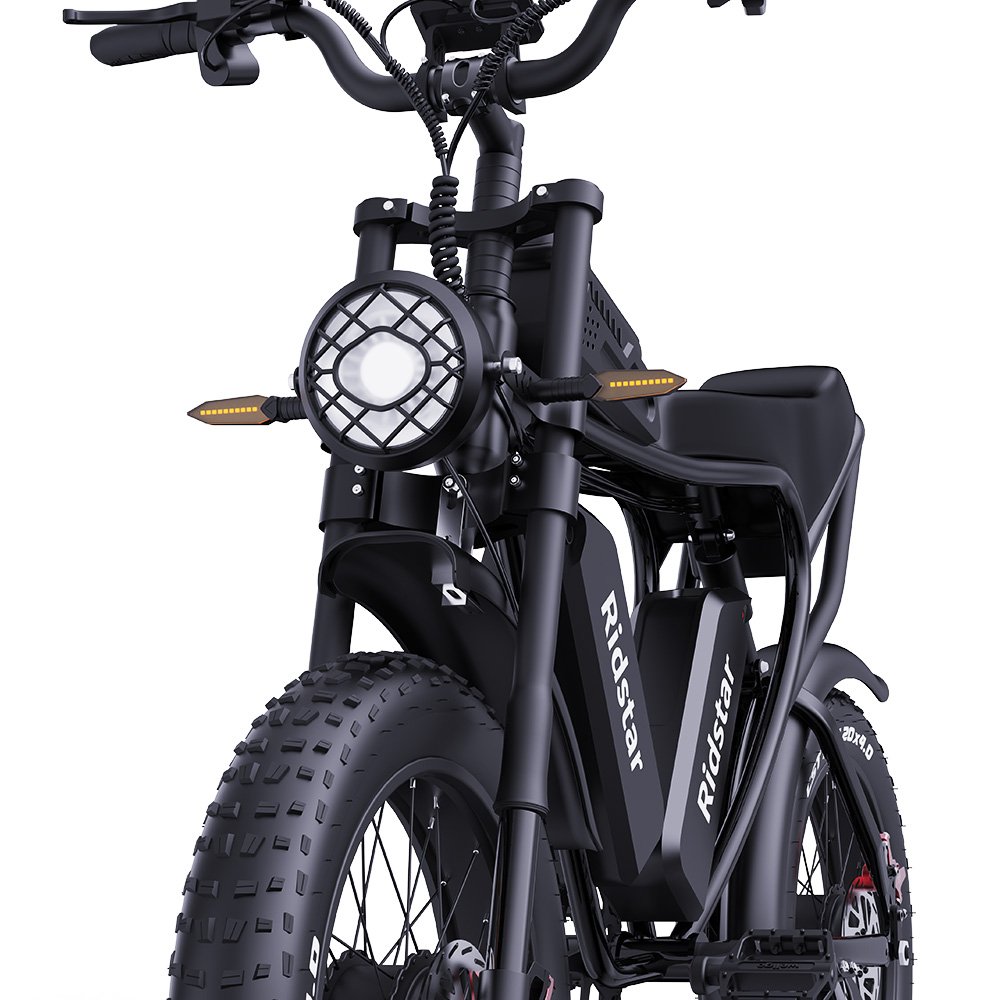Ridstar Q20 PRO Dirt E Bike 2*1000W Motor Electric Dirt Bike 20 Inch Mountain Bike Off-Road 2000W