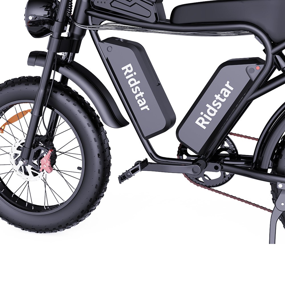 Ridstar Q20 PRO Dirt E Bike 2*1000W Motor Electric Dirt Bike 20 Inch Mountain Bike Off-Road 2000W