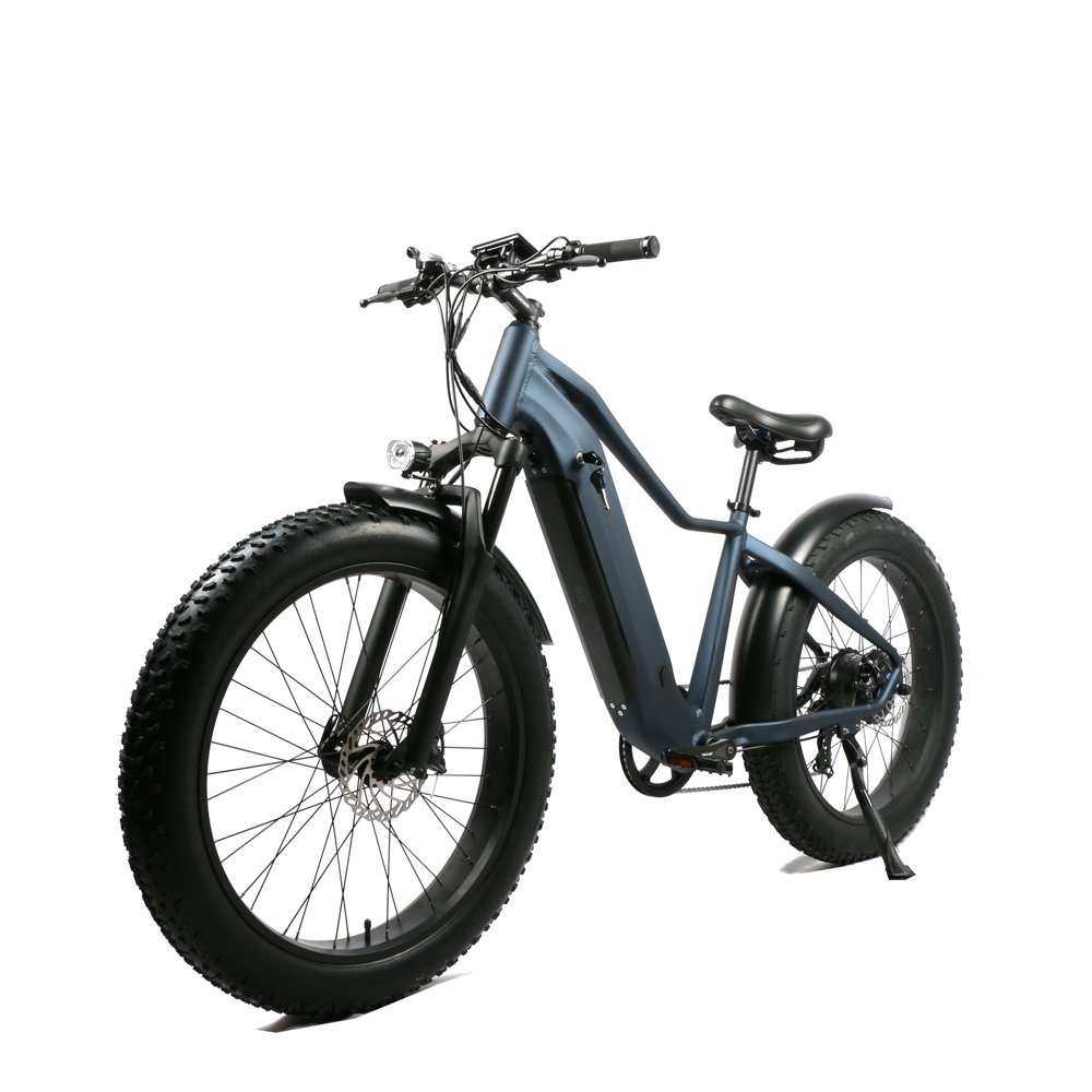 48v 1000w Emtb Retro Electric Hybrid Bike 13AH 20AH Electric Bike 26 inch Fat Tire Mountain Dirt City Bike