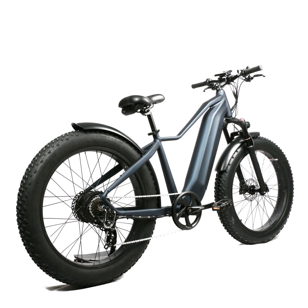 48v 1000w Emtb Retro Electric Hybrid Bike 13AH 20AH Electric Bike 26 inch Fat Tire Mountain Dirt City Bike
