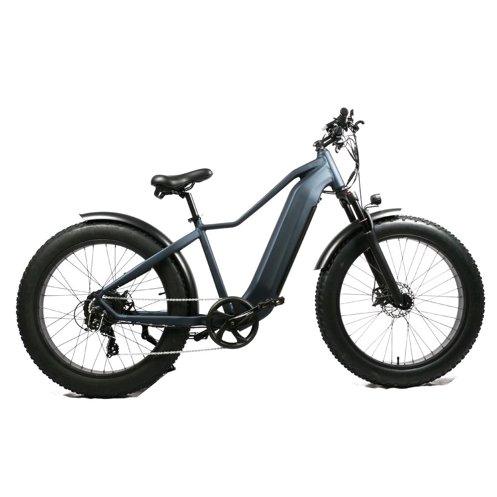 48v 1000w Emtb Retro Electric Hybrid Bike 13AH 20AH Electric Bike 26 inch Fat Tire Mountain Dirt City Bike