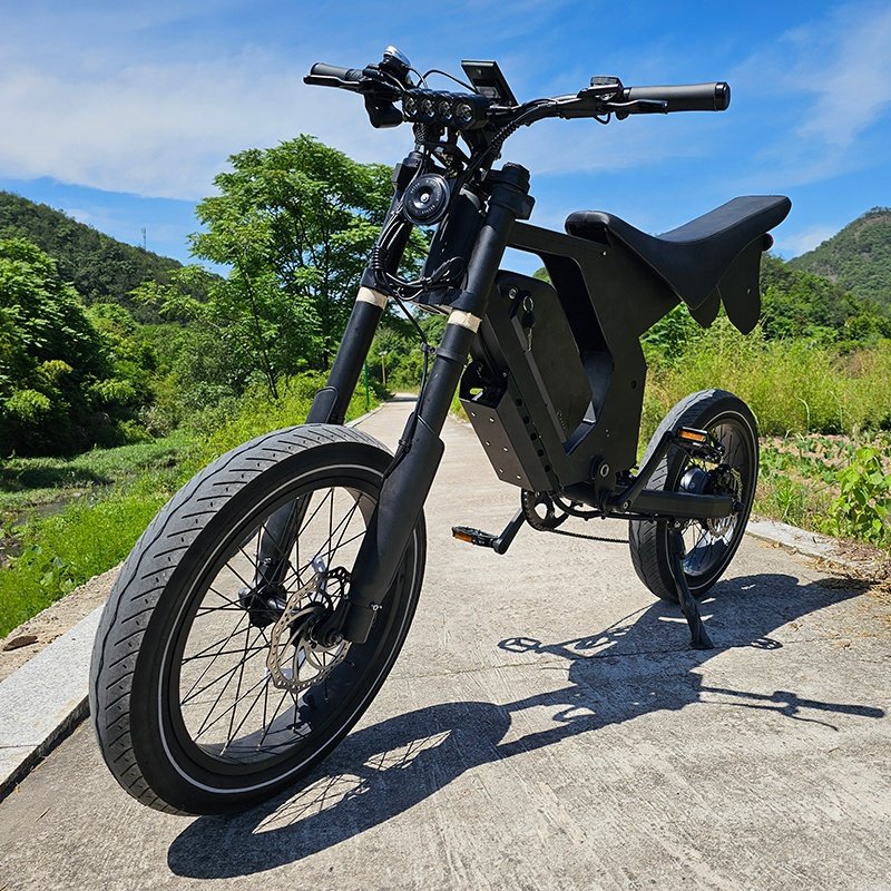 Raider-UL088M full-size electric dirt bike 750W 52V20AH UL2849 Certification electric Motorbikes City bikes
