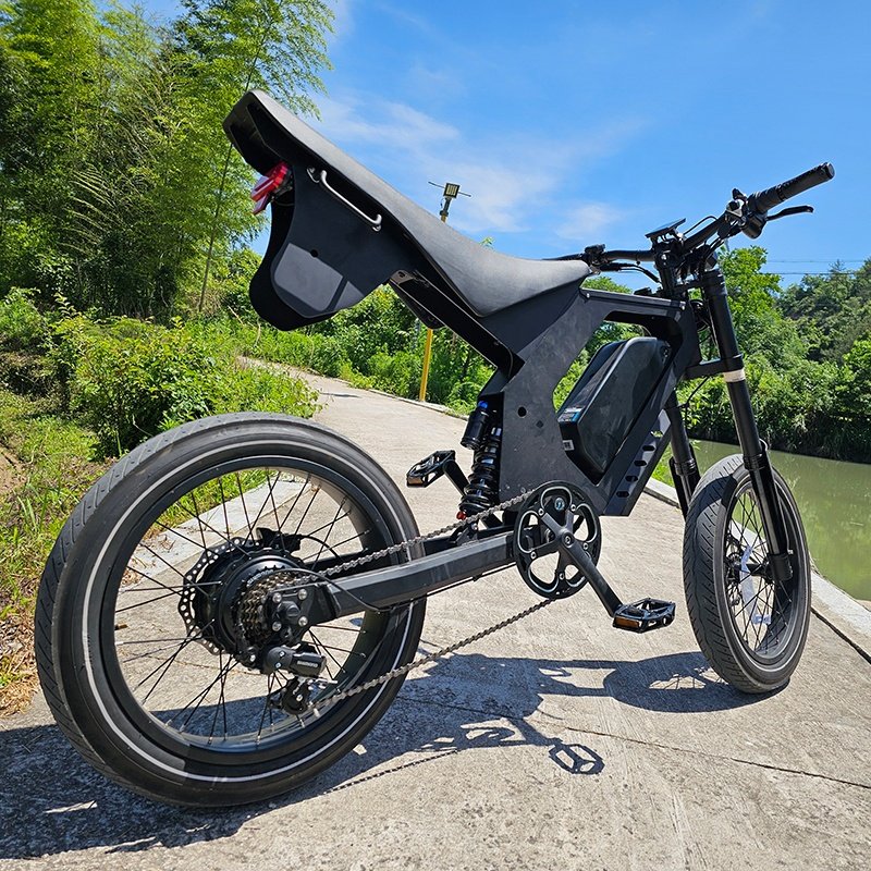 Raider-UL088M full-size electric dirt bike 750W 52V20AH UL2849 Certification electric Motorbikes City bikes