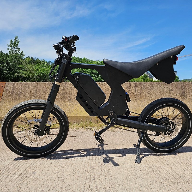 Raider-UL088M full-size electric dirt bike 750W 52V20AH UL2849 Certification electric Motorbikes City bikes