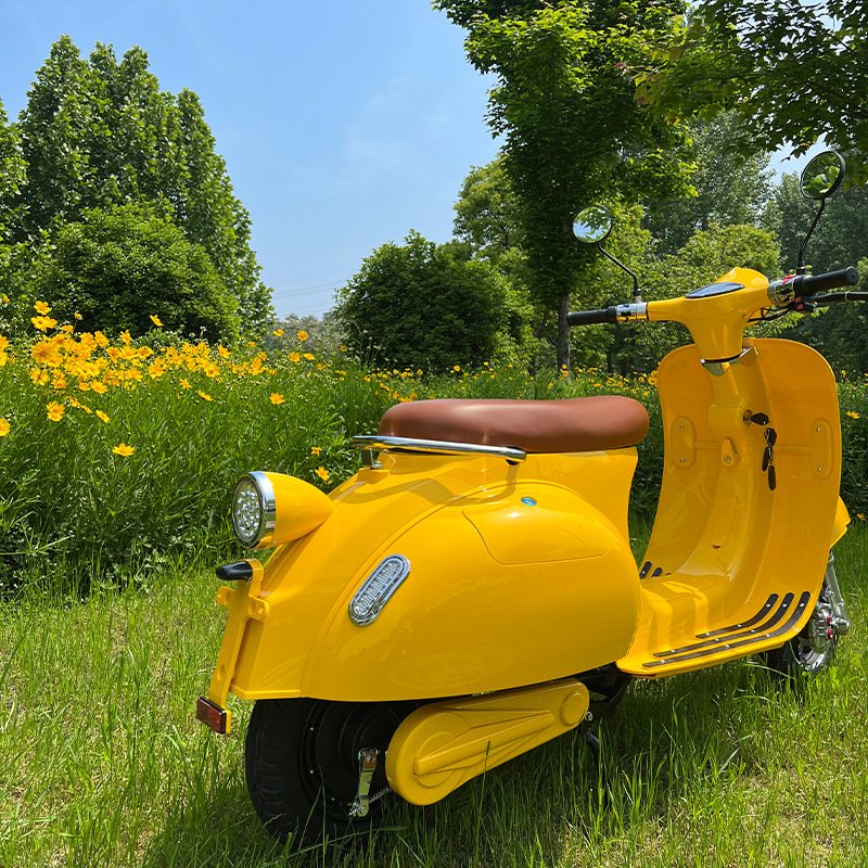 2024 popular 2 wheel ev scooters 2000w 1000W 1200W powerful adult fast with removable battery electric motorcycles