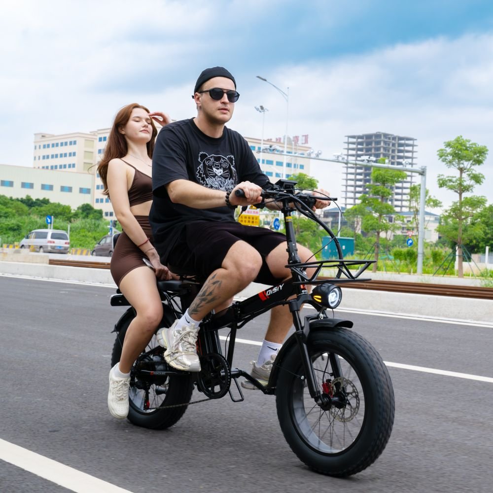 DISIYUAN 2 seat adult electric city bike bicycle lady style ebykes for adults sur ron edirt electrical road bike for city travel