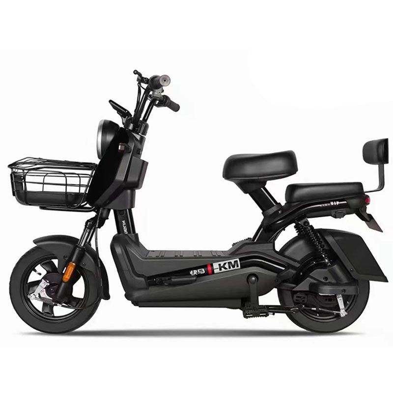 Fashion double electric bicycle factory direct sales electric scooter 48V 350W power electric city bike