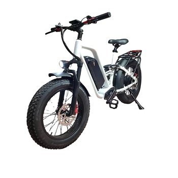 2024 Step Thru New Electric Bike 1000W Bafang Motor 52V22Ah Battery Anti-punctured Fat Tire Aluminum Alloy frame City ebike