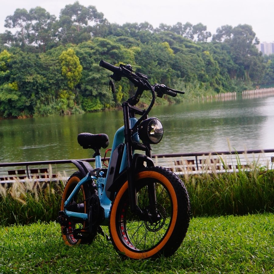 2024 Step Thru New Electric Bike 1000W Bafang Motor 52V22Ah Battery Anti-punctured Fat Tire Aluminum Alloy frame City ebike