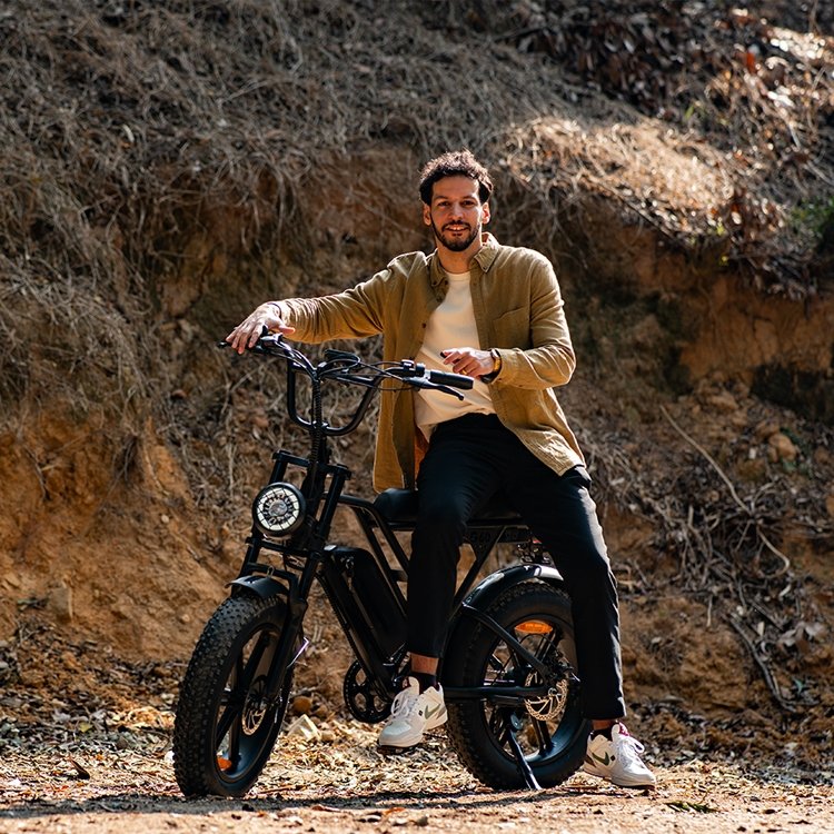 20 inch 48V removable battery electric bicycle mountain bike monopattino electric