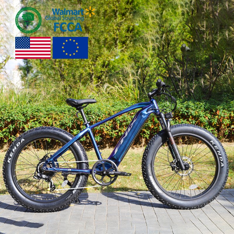 Phoenix Electric Bicycle Motor Aluminum Alloy Electric Mountain Bike Electric Mountain Bike