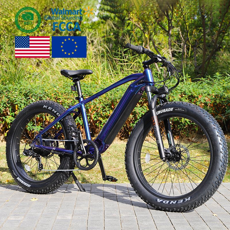 Phoenix Electric Bicycle Motor Aluminum Alloy Electric Mountain Bike Electric Mountain Bike