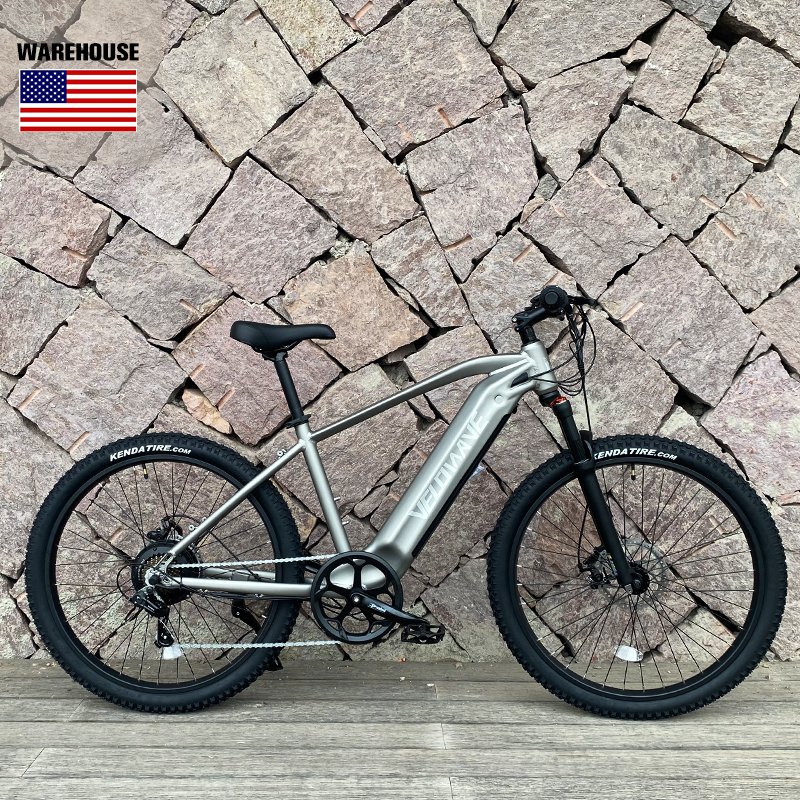 Phoenix Electric Bicycle Motor Aluminum Alloy Electric Mountain Bike Electric Mountain Bike