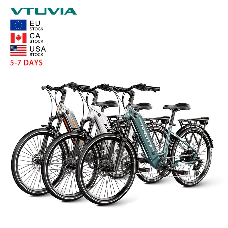 USA EU Canada Warehouse Stock 250w 500w 36v 48v Torque Sensor Hub Motor Electric Mountain Hybrid Bike City Bicycle
