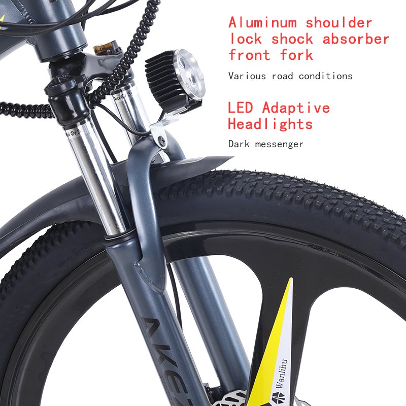 Aluminum alloy electric bike 21 speed electric bicycle for adult 26 inch mountain ebike double disc brake 36v 350w e bike