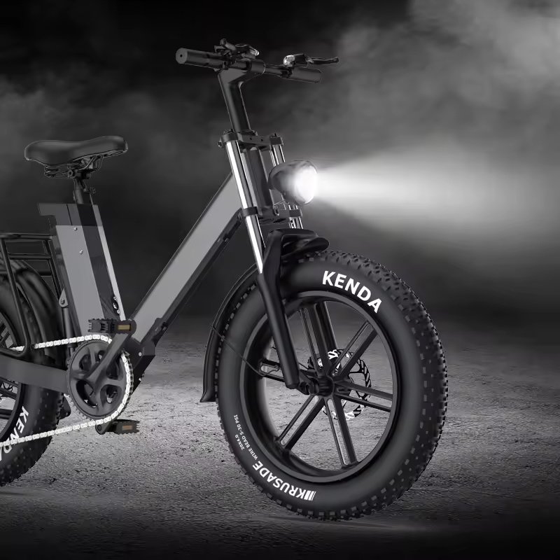 Secutronic OEM 20 inch 48V 1000W Fat Tire Share Electric Mountain Bike Ebike E Fatbike Bicycle For Adult