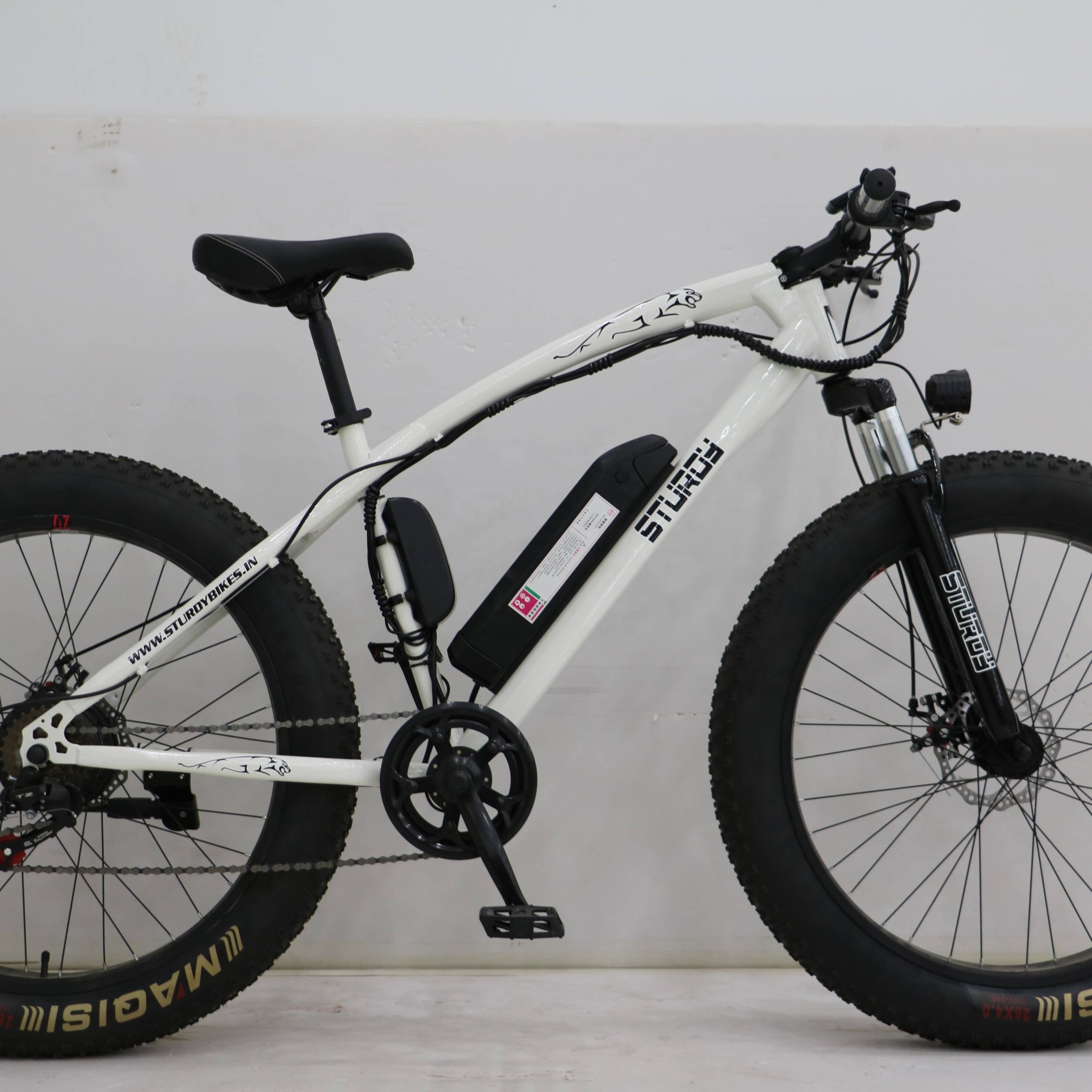 new mode for fat tire ebike Electric bicycle