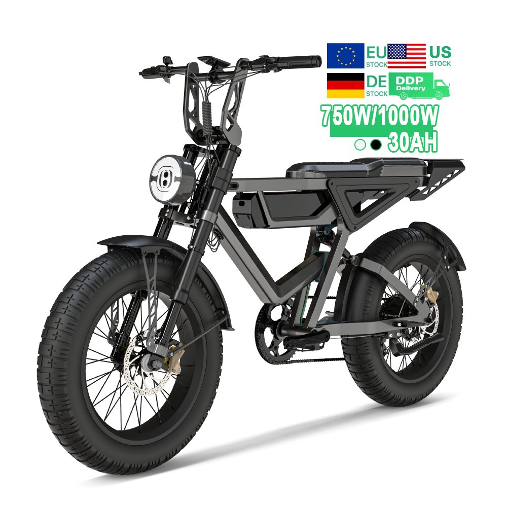 Usa Warehouse 48V 1000W Emtb Retro Electric Hybrid Bike E-Bike Road Dirt E Bike Ebike Mountain Fat Tire Electric Bike