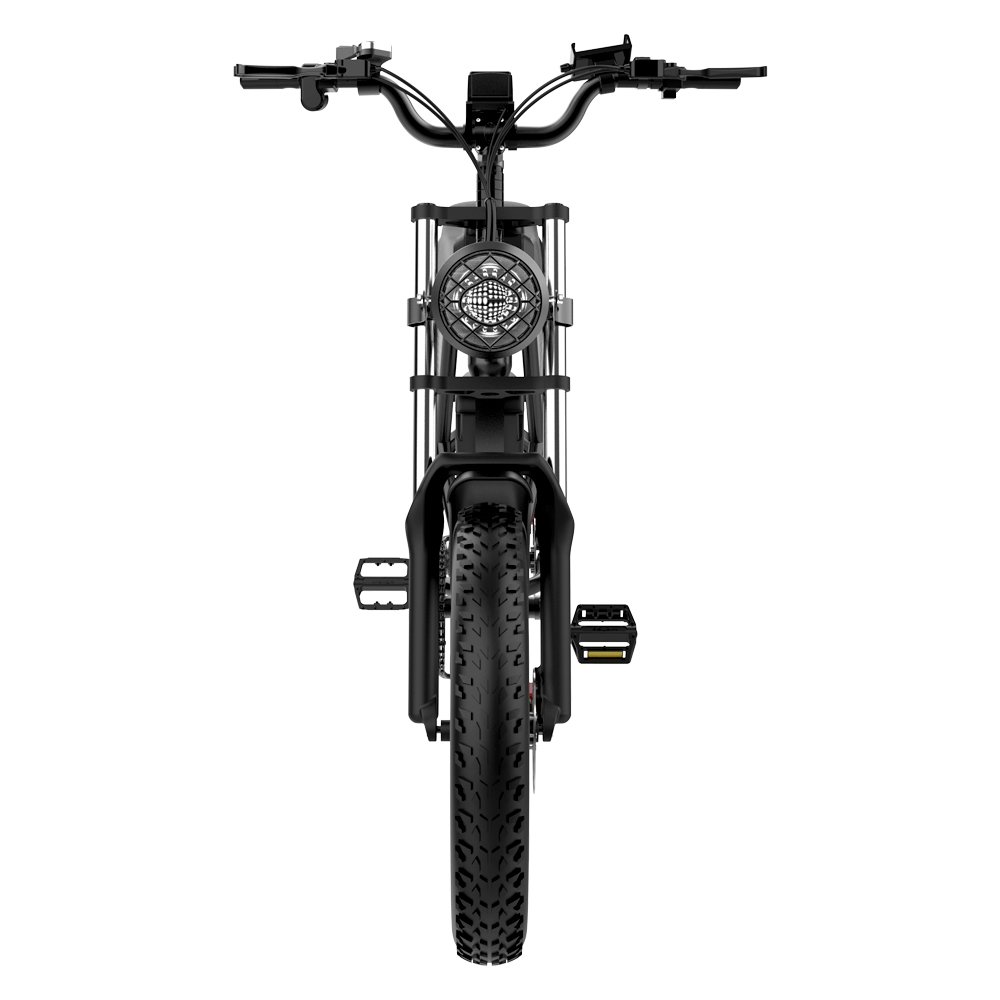 48V 1000W Hybrid Electric Bike Power Dirt Mountain Fat Tire Bicycle EU/US Warehouse Lithium Battery Power Supply