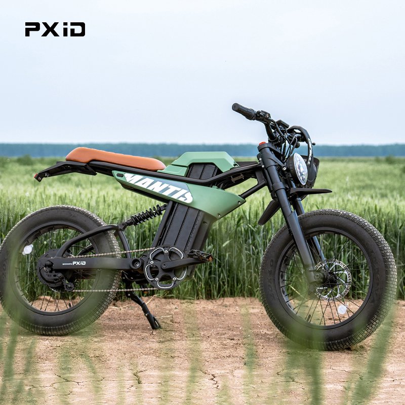 PXID MANTIS P6 ebike OEM ODM 20 Inch off road mtb ebike rear hub motor 750W 1000W 1500W electric mountain bike