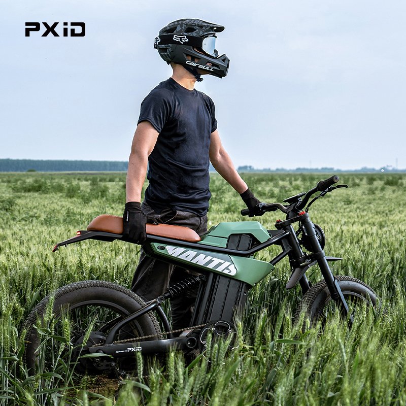 PXID MANTIS P6 ebike OEM ODM 20 Inch off road mtb ebike rear hub motor 750W 1000W 1500W electric mountain bike