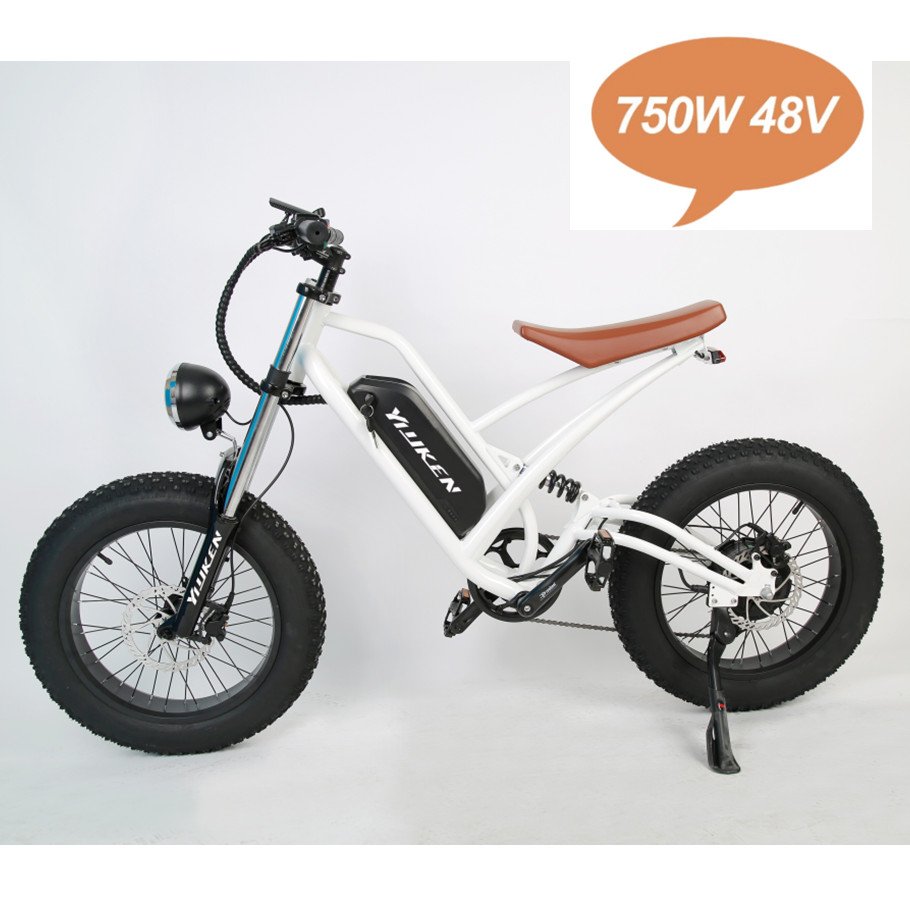 2022 bafang 20 Inch 48V 750W ebike/fat bike gear bicycle with led fat bike/Fat Tire Electric Mountain Bike,electric bicycle