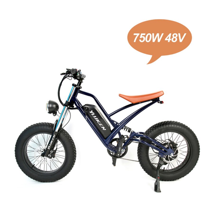 2022 bafang 20 Inch 48V 750W ebike/fat bike gear bicycle with led fat bike/Fat Tire Electric Mountain Bike,electric bicycle