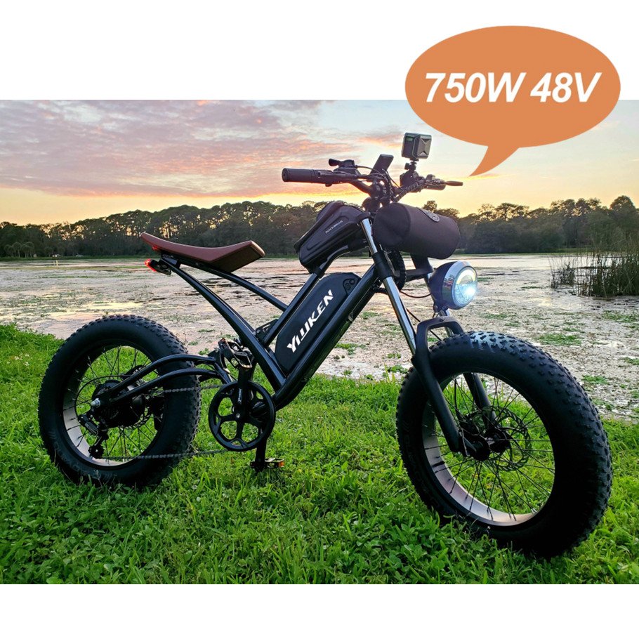 2022 bafang 20 Inch 48V 750W ebike/fat bike gear bicycle with led fat bike/Fat Tire Electric Mountain Bike,electric bicycle