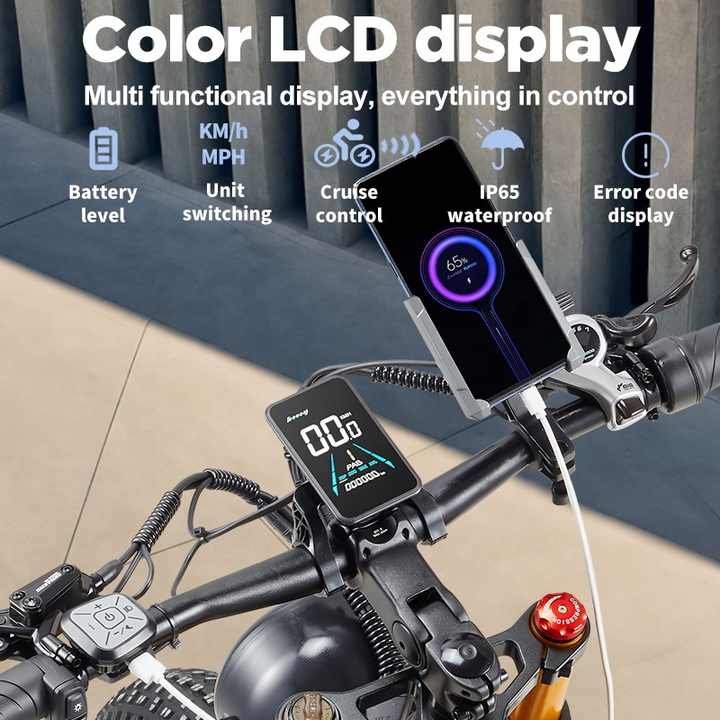 Customized e Bike Electric Snow Bike MTB FatTire Burchda RX80 1000W48V20Ah SHIMANO 7 Speed electric mountain bike fatbike 26inch
