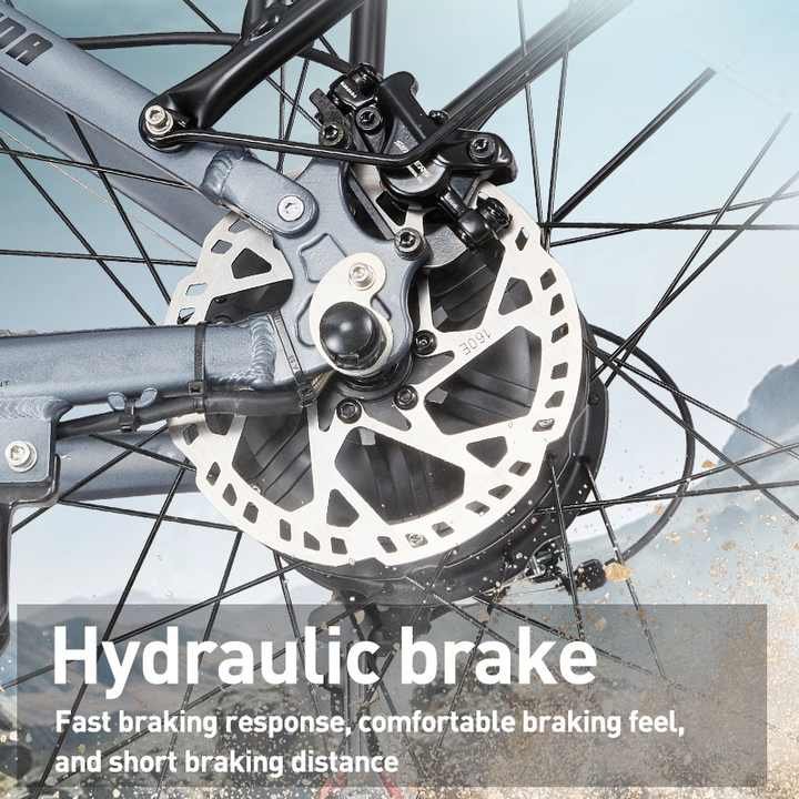 Customized e Bike Electric Snow Bike MTB FatTire Burchda RX80 1000W48V20Ah SHIMANO 7 Speed electric mountain bike fatbike 26inch