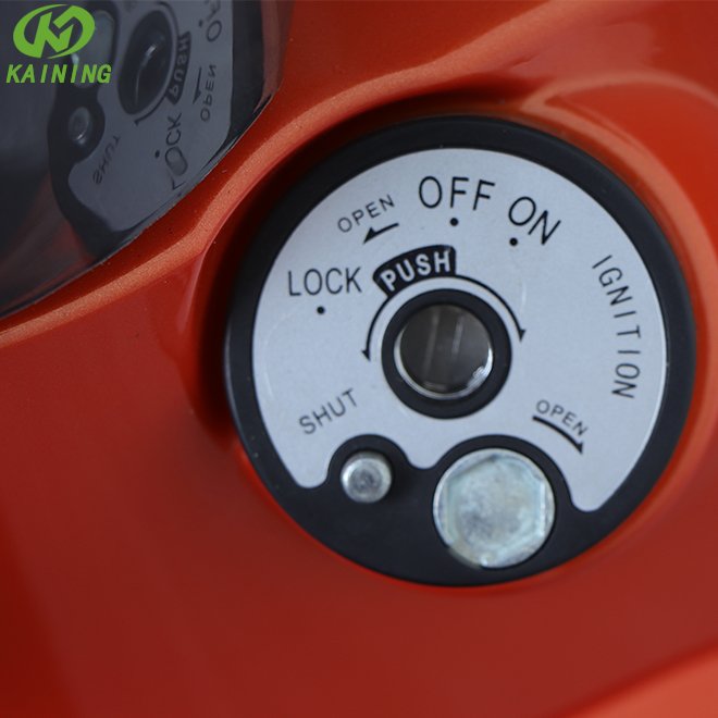 2023 EEC Factory direct price Electric motorcycle 2 wheels Disc brake 3000w CKD Electric scooters