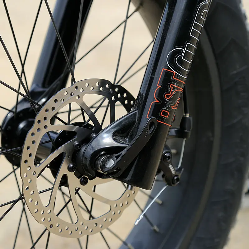 36v 48v 750w Electric Bicycle 20 inch Fat Tire mountain sports Bike High Power shimano fixed gear E Bikes