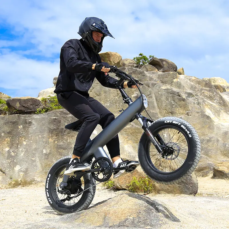36v 48v 750w Electric Bicycle 20 inch Fat Tire mountain sports Bike High Power shimano fixed gear E Bikes