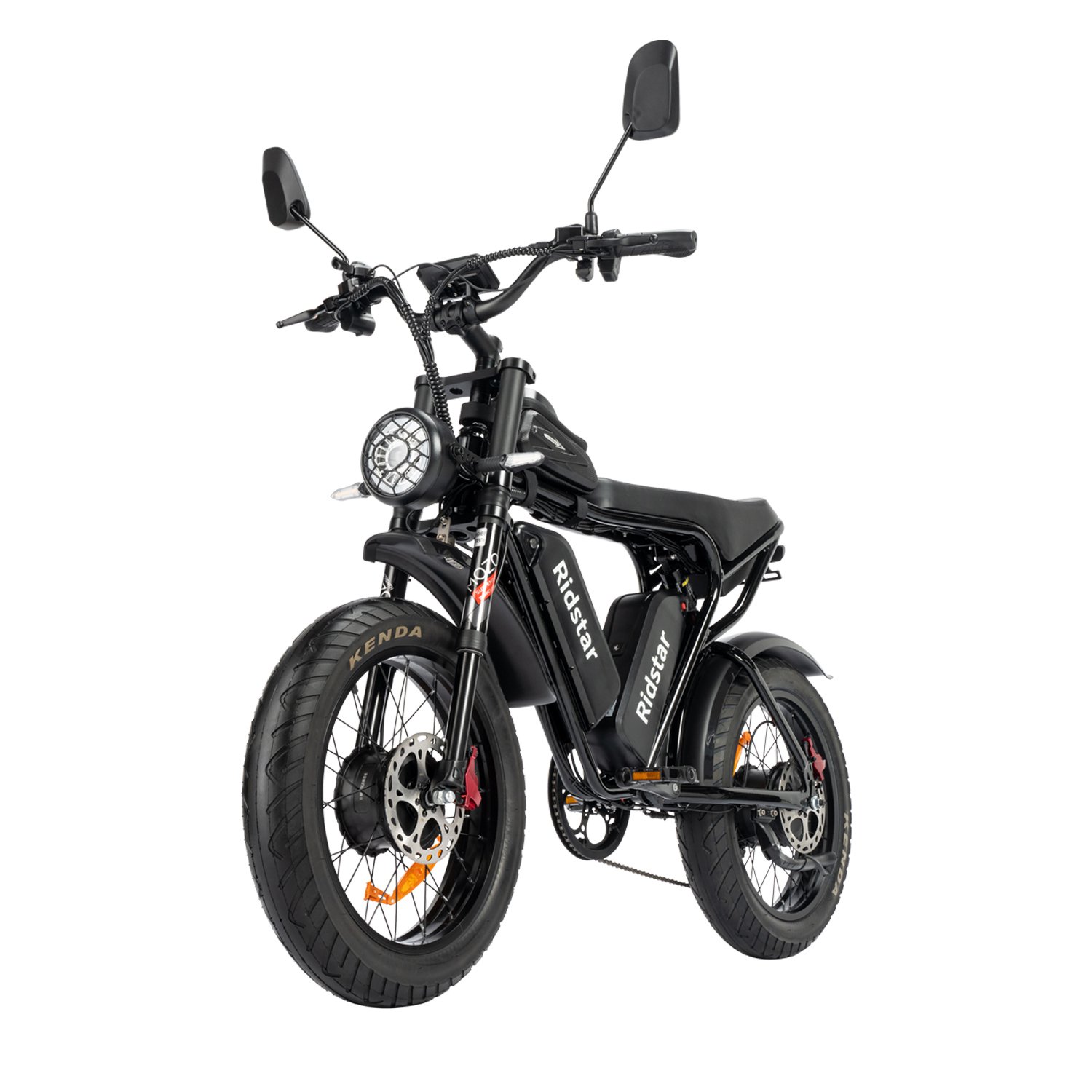 Factory OEM ODM Dual Motor Dual Battery Electric Mountain Bike 2000W 52V 40AH Long Ride Electric Bike For Adults