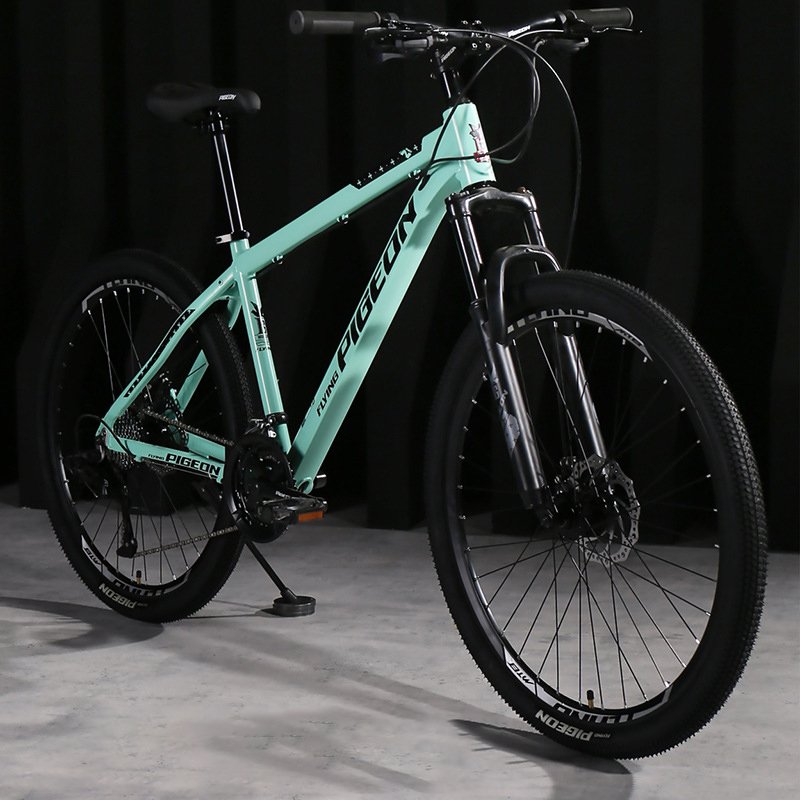 24 26 27.5 inch 24 27 30 Speed Disc Brake Bicycle Mountain Bike Steel Mountain Bicycle For Adult teenagers Off-road bike cheap