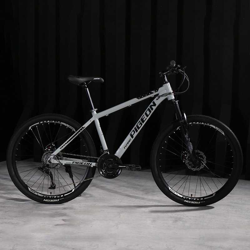 24 26 27.5 inch 24 27 30 Speed Disc Brake Bicycle Mountain Bike Steel Mountain Bicycle For Adult teenagers Off-road bike cheap