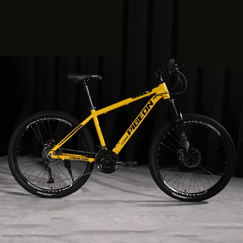 24 26 27.5 inch 24 27 30 Speed Disc Brake Bicycle Mountain Bike Steel Mountain Bicycle For Adult teenagers Off-road bike cheap