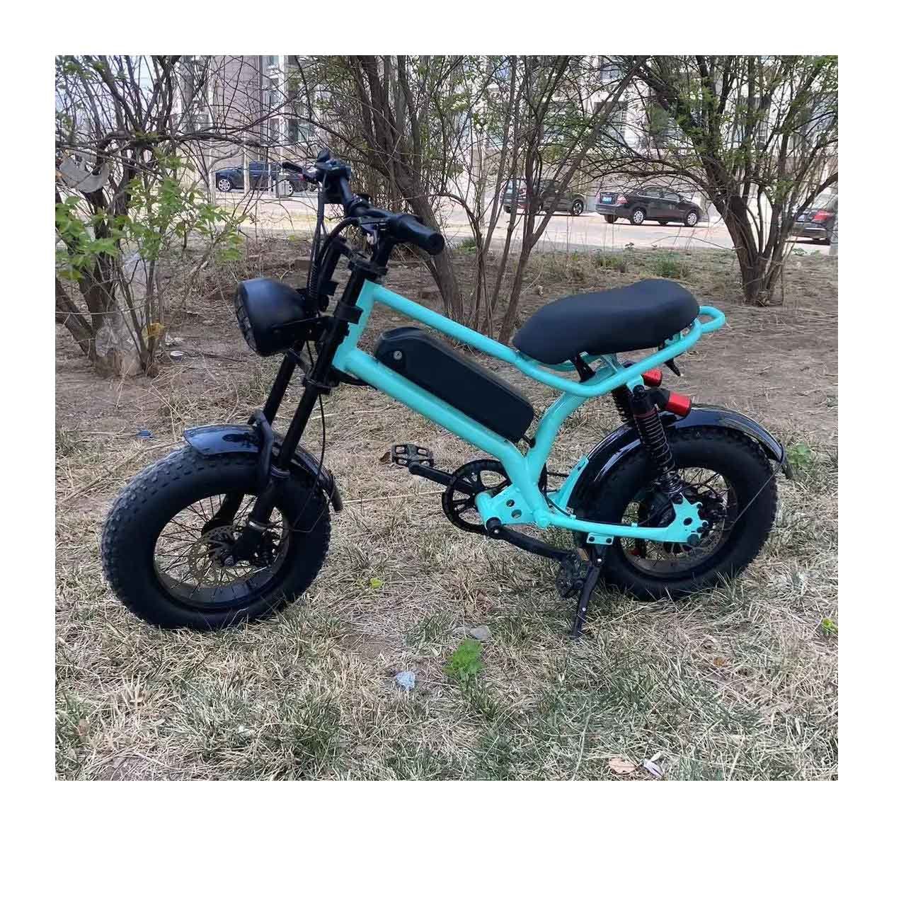 beach cruiser Fat Tire 48V 750W Motor electric bicycle bici elettrica 1000W electric bike for adult from China