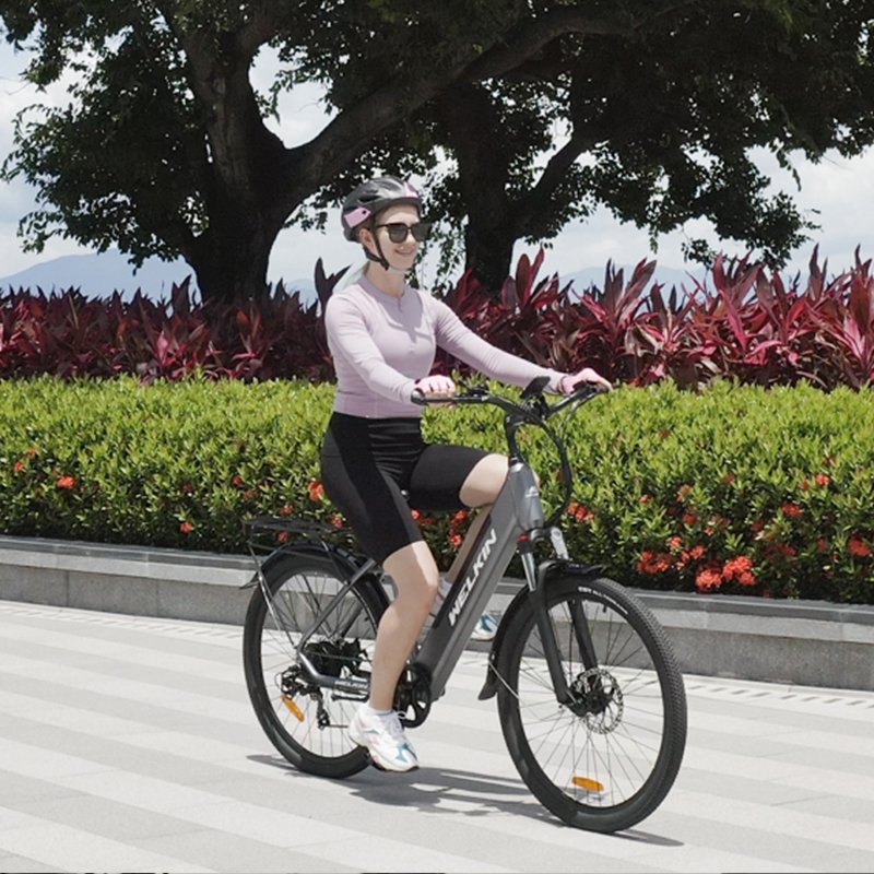36V 10AH Lithium Battery 250W Rear Hub Motor Road Electric Bike Big Digital Display Disc Brakes Electric Mountain Bike Features
