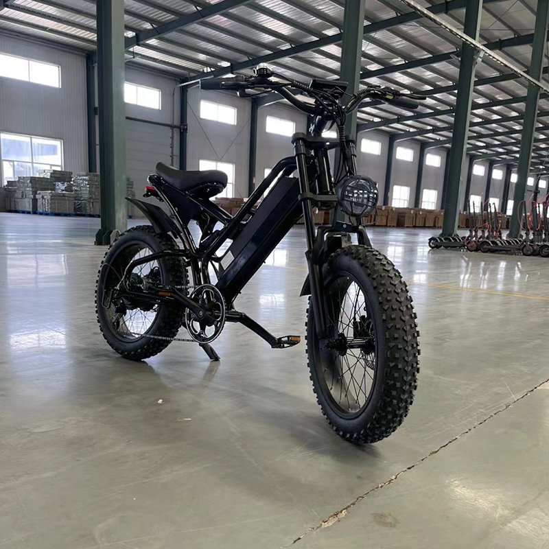 2024 750w 48v Fast Speed 60km/H Electric City Fat Tire Hybrid Bicycle Ebike Electric Mountain Dirt E Bike for Adults