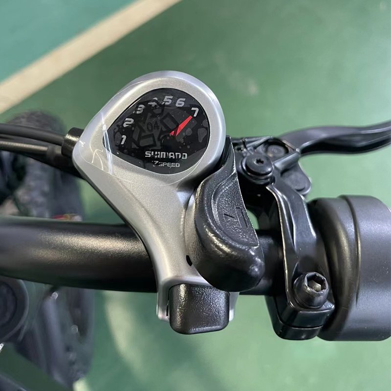 2024 750w 48v Fast Speed 60km/H Electric City Fat Tire Hybrid Bicycle Ebike Electric Mountain Dirt E Bike for Adults