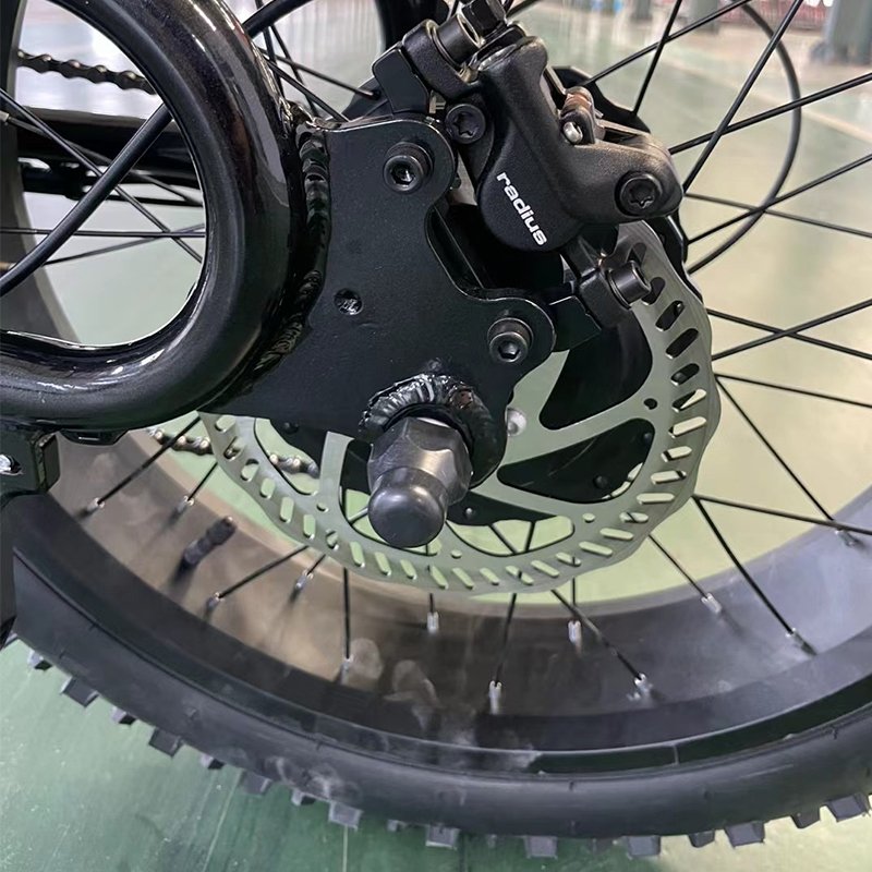 2024 750w 48v Fast Speed 60km/H Electric City Fat Tire Hybrid Bicycle Ebike Electric Mountain Dirt E Bike for Adults