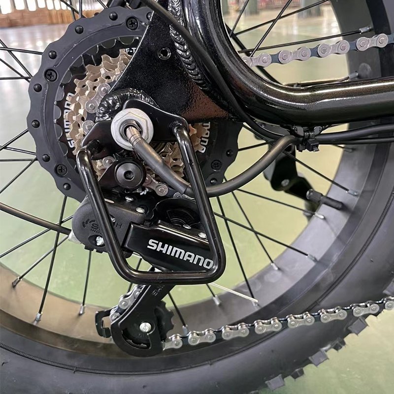 2024 750w 48v Fast Speed 60km/H Electric City Fat Tire Hybrid Bicycle Ebike Electric Mountain Dirt E Bike for Adults