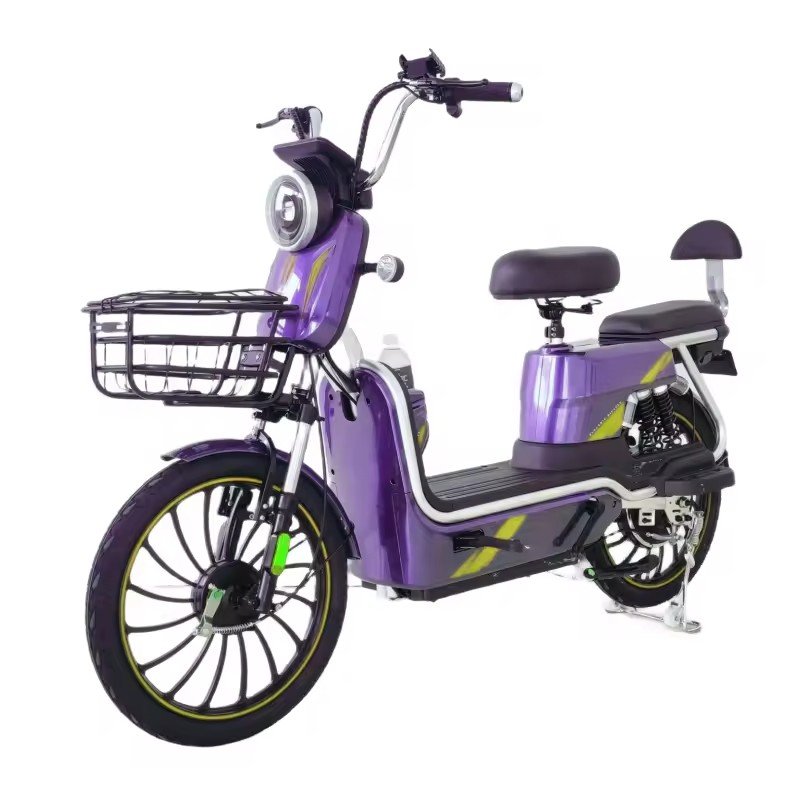 20 Inch 48v 500w lead acid batteryFat Tire E-Bike Electric bicycle Electric City Bike