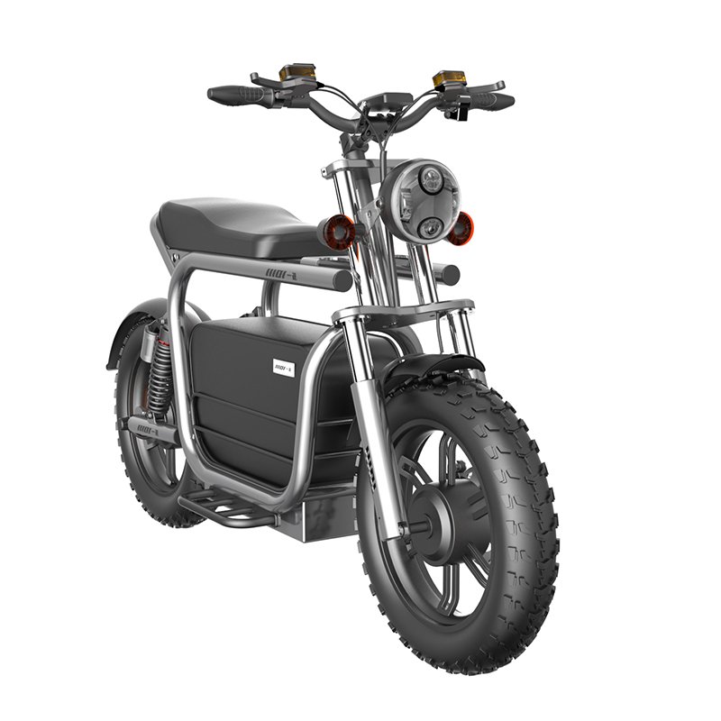 Cafe Racer Style Motorcycle Electric Moped Ebike 20inch Tire 48V 750w/1500w Electric Mountain Bike Bicycle With Big Trunk