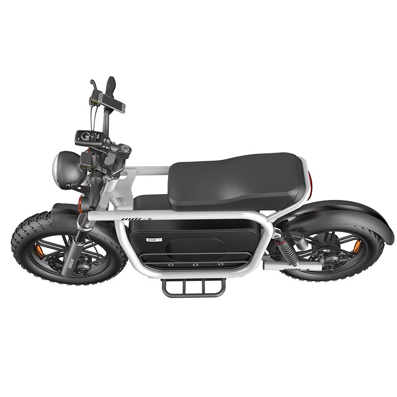 Cafe Racer Style Motorcycle Electric Moped Ebike 20inch Tire 48V 750w/1500w Electric Mountain Bike Bicycle With Big Trunk