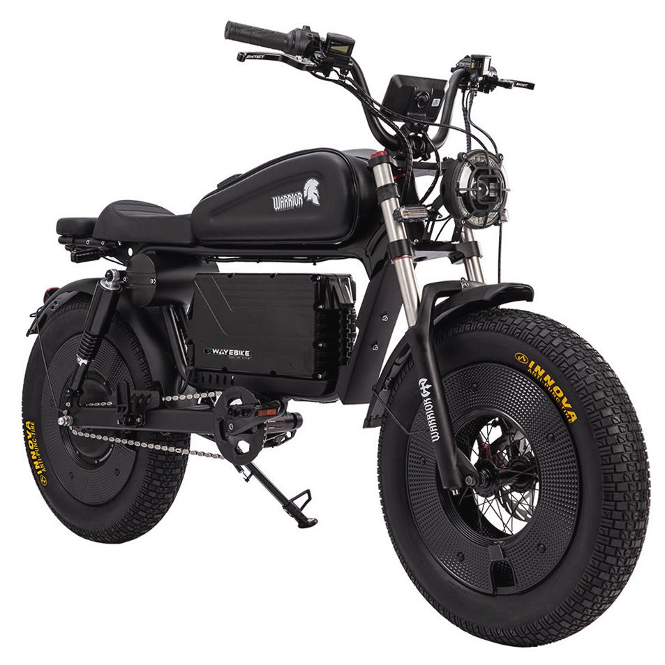 New Design Himoto Warrior Electric Bike E-Bike 60ah 3000W Retrofit Accessories City coco Fat tire Fatbike 20 inch Electric Bike